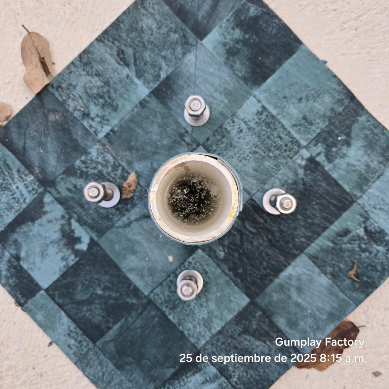 00000737-PHOTO-2025-09-27-08-08-31